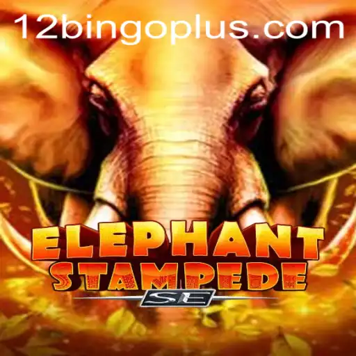 Discovering ElephantStampedeSE: A Thrilling Adventure into the World of 12bingo