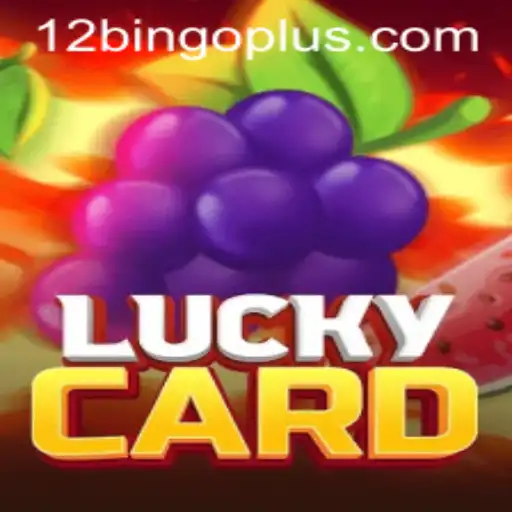Exploring LuckyCard and 12bingo